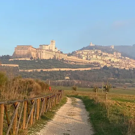 Domus Benedicta Assisi