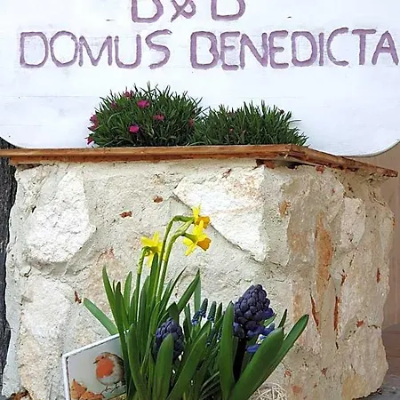 Domus Benedicta Bed & Breakfast