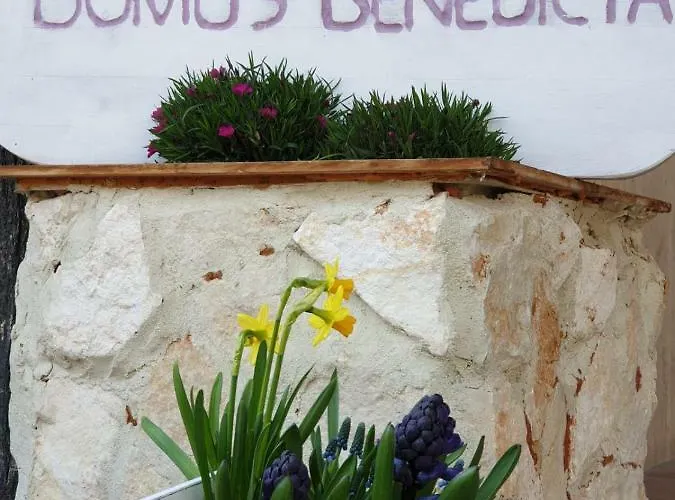 Bed & Breakfast Domus Benedicta Assisi
